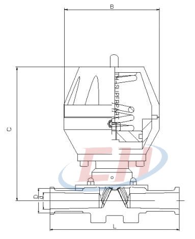 氣動衛(wèi)生級隔膜閥結(jié)構(gòu)圖